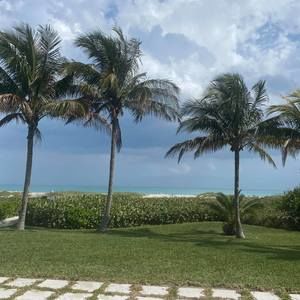 Meet your Posher, Lily